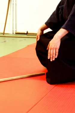 Curso de SMR Jo-Do en Barcelona (Marzo 2014)